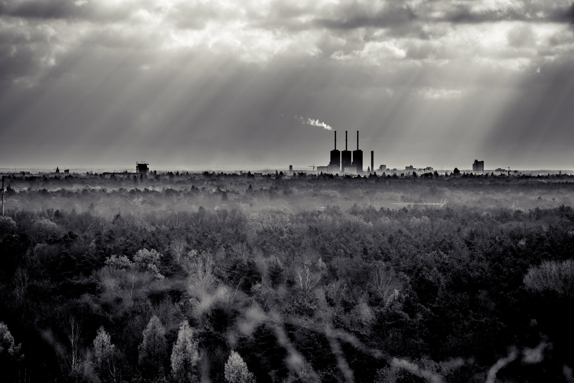 Aussicht vom Teufelsberg in Berlin