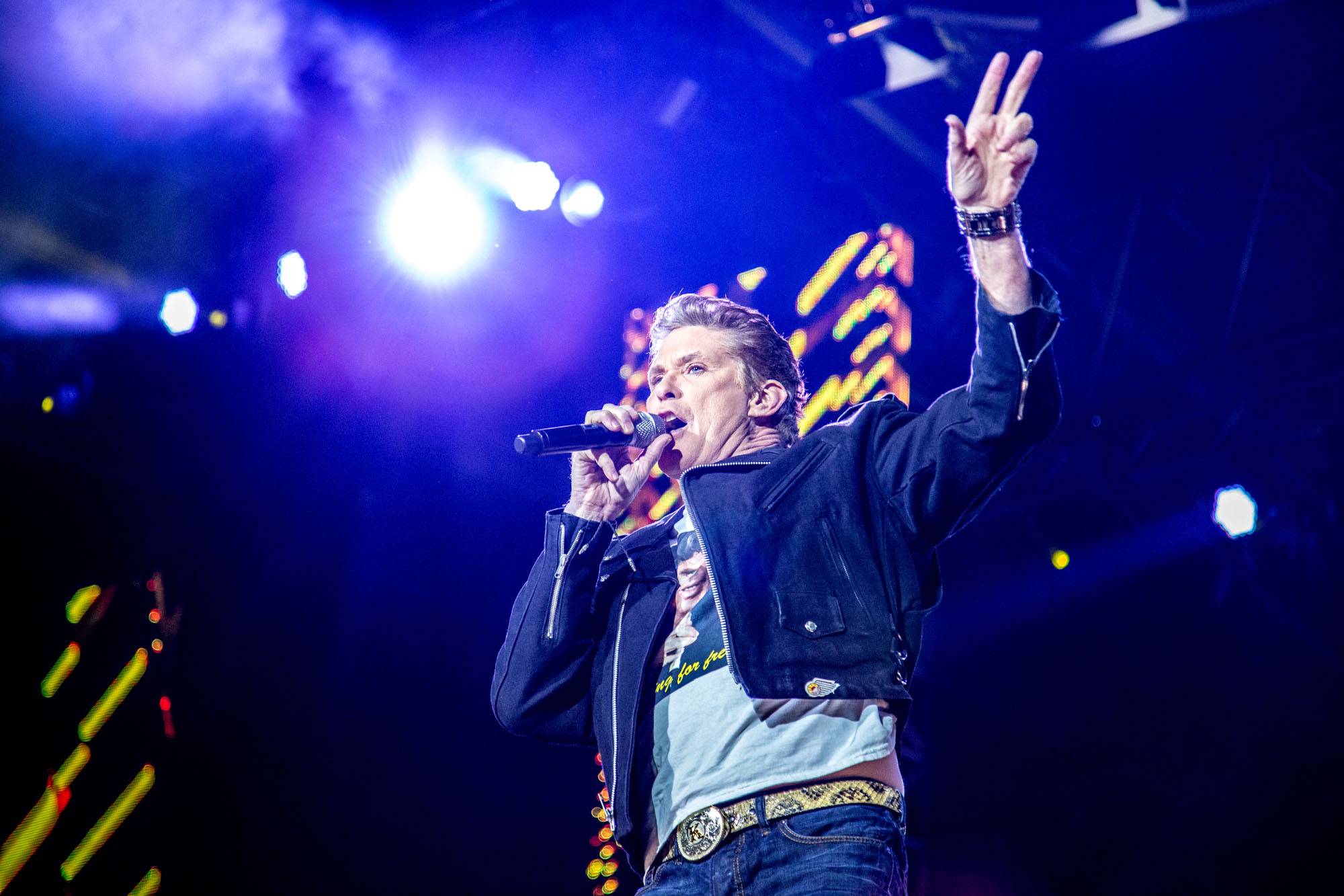 David Hasselhof zum Fest der Einheit am Brandenburger Tor