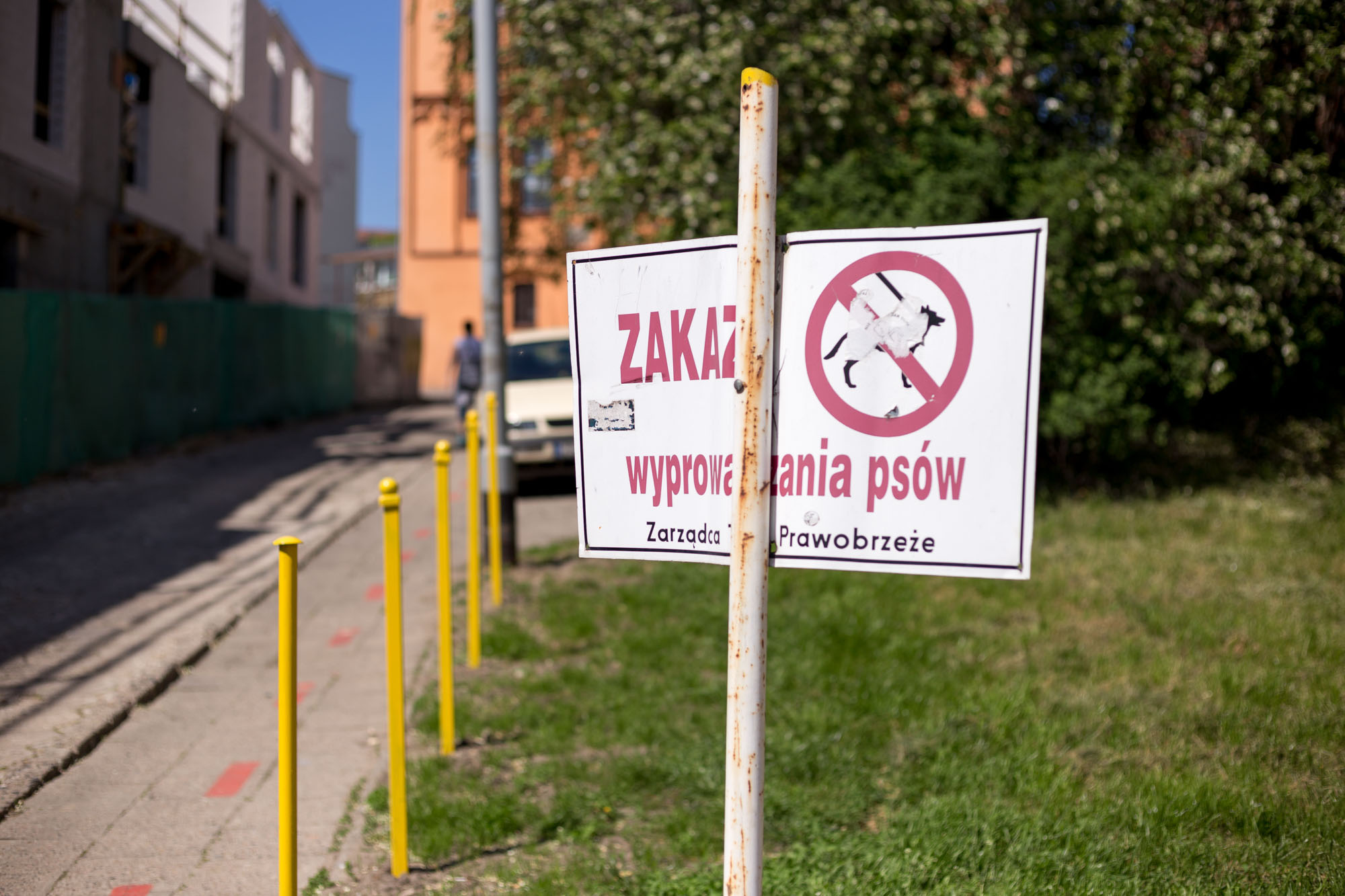 polnisches Hundeschild